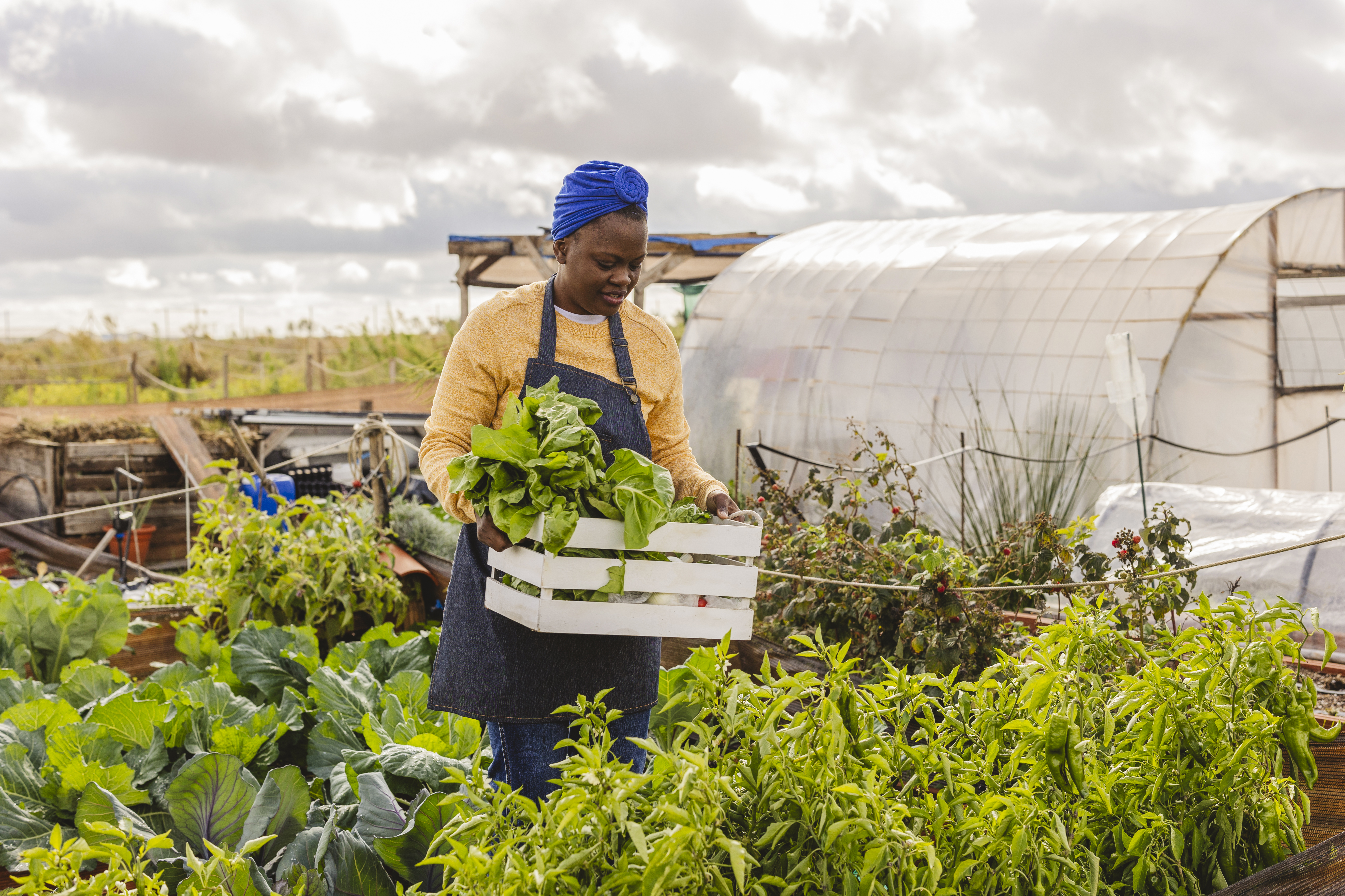 Farmer in Garden